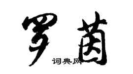胡问遂罗茵行书个性签名怎么写