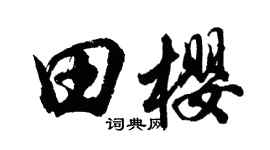 胡问遂田樱行书个性签名怎么写