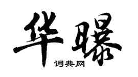 胡问遂华曝行书个性签名怎么写