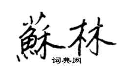王正良苏林行书个性签名怎么写