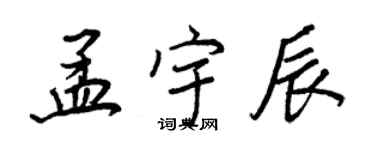 王正良孟宇辰行书个性签名怎么写