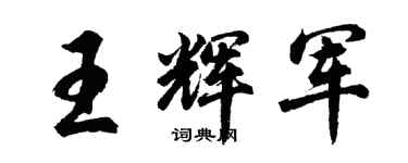 胡问遂王辉军行书个性签名怎么写