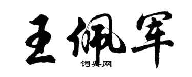 胡问遂王佩军行书个性签名怎么写