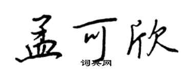 王正良孟可欣行书个性签名怎么写