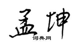 王正良孟坤行书个性签名怎么写