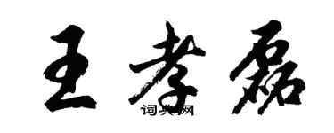 胡问遂王孝磊行书个性签名怎么写
