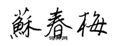 王正良苏春梅行书个性签名怎么写