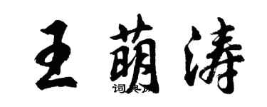 胡问遂王萌涛行书个性签名怎么写
