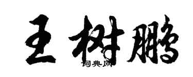 胡问遂王树鹏行书个性签名怎么写