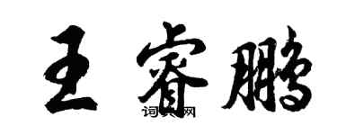 胡问遂王睿鹏行书个性签名怎么写