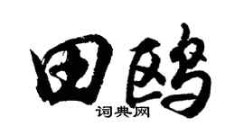 胡问遂田鸥行书个性签名怎么写