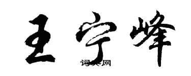 胡问遂王宁峰行书个性签名怎么写