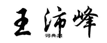 胡问遂王沛峰行书个性签名怎么写