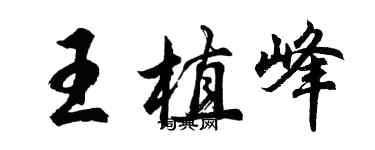 胡问遂王植峰行书个性签名怎么写