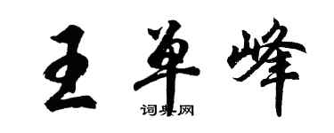 胡问遂王单峰行书个性签名怎么写