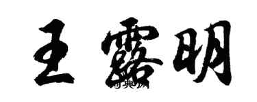 胡问遂王露明行书个性签名怎么写