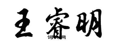 胡问遂王睿明行书个性签名怎么写