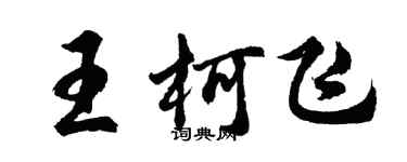 胡问遂王柯飞行书个性签名怎么写
