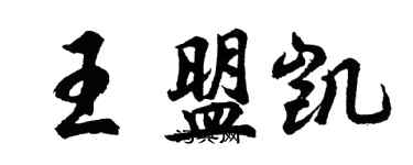胡问遂王盟凯行书个性签名怎么写