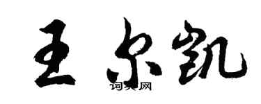 胡问遂王尔凯行书个性签名怎么写