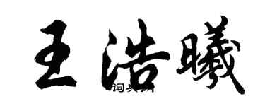 胡问遂王浩曦行书个性签名怎么写