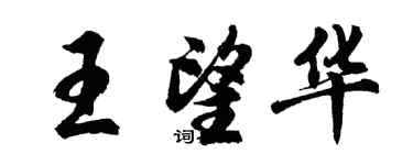 胡问遂王望华行书个性签名怎么写
