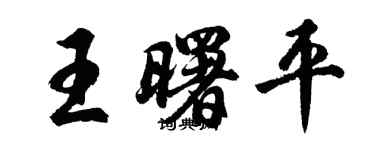 胡问遂王曙平行书个性签名怎么写