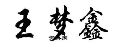 胡问遂王梦鑫行书个性签名怎么写