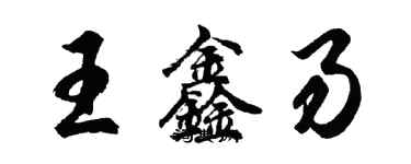 胡问遂王鑫易行书个性签名怎么写