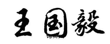 胡问遂王国毅行书个性签名怎么写