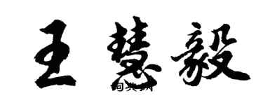 胡问遂王慧毅行书个性签名怎么写