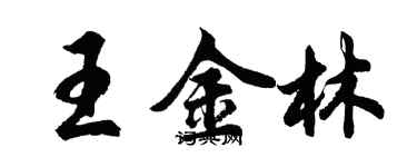 胡问遂王金林行书个性签名怎么写