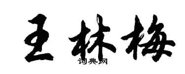 胡问遂王林梅行书个性签名怎么写