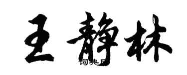 胡问遂王静林行书个性签名怎么写