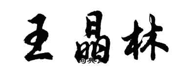 胡问遂王晶林行书个性签名怎么写