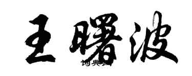 胡问遂王曙波行书个性签名怎么写