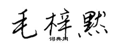 王正良毛梓默行书个性签名怎么写