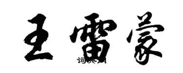 胡问遂王雷蒙行书个性签名怎么写