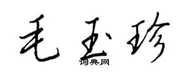 王正良毛玉珍行书个性签名怎么写
