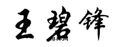 胡问遂王碧锋行书个性签名怎么写
