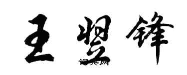 胡问遂王翌锋行书个性签名怎么写