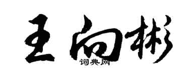 胡问遂王向彬行书个性签名怎么写