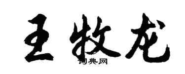 胡问遂王牧龙行书个性签名怎么写