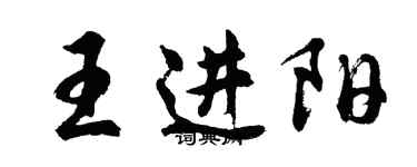胡问遂王进阳行书个性签名怎么写
