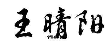 胡问遂王晴阳行书个性签名怎么写