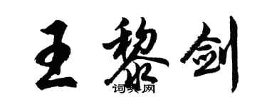 胡问遂王黎剑行书个性签名怎么写