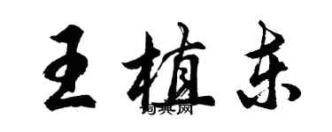 胡问遂王植东行书个性签名怎么写
