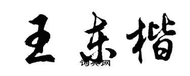 胡问遂王东楷行书个性签名怎么写