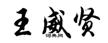 胡问遂王威贤行书个性签名怎么写