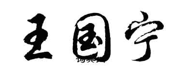 胡问遂王国宁行书个性签名怎么写